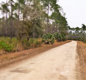 Photo of road