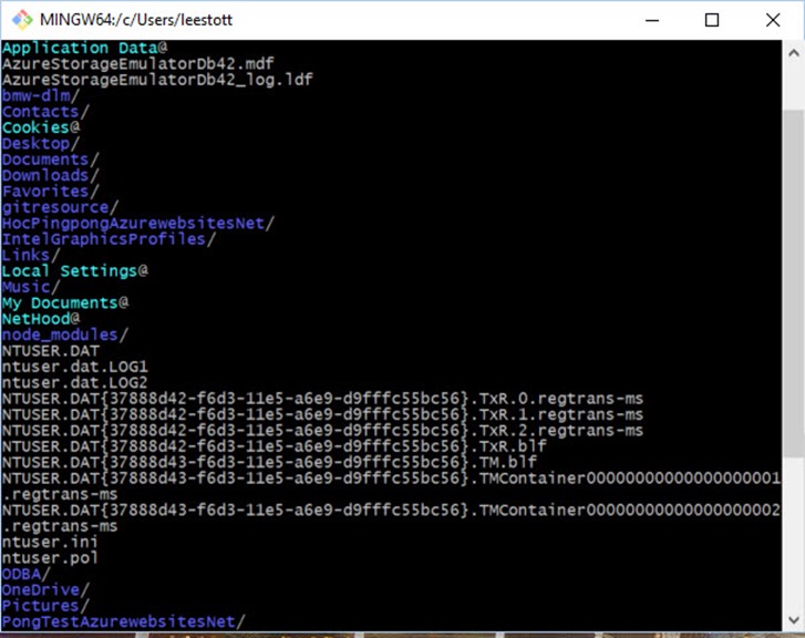 bash