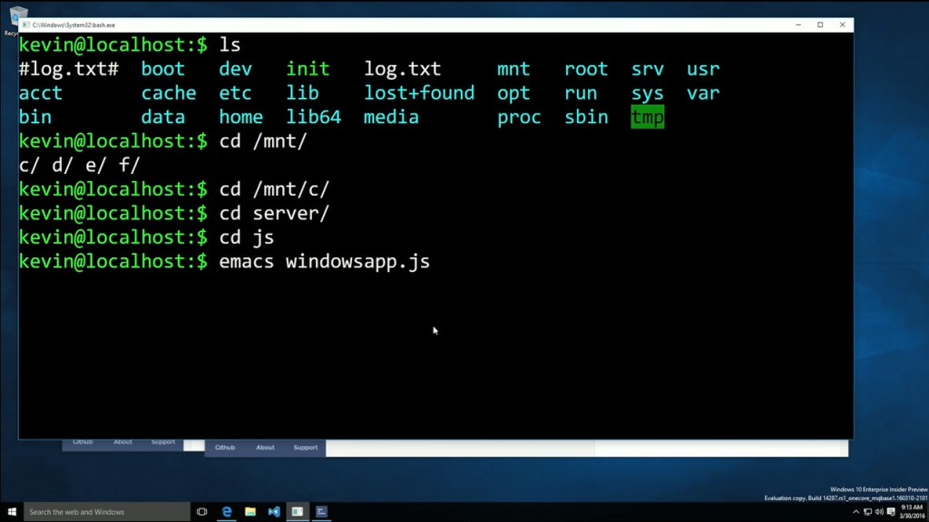 Bash on Windows