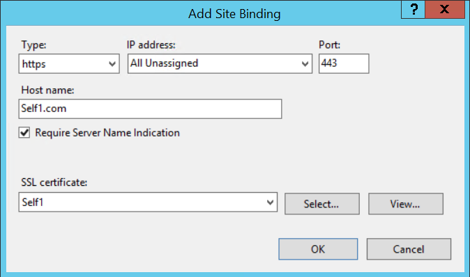 IIS HTTPS binding with SNI checked