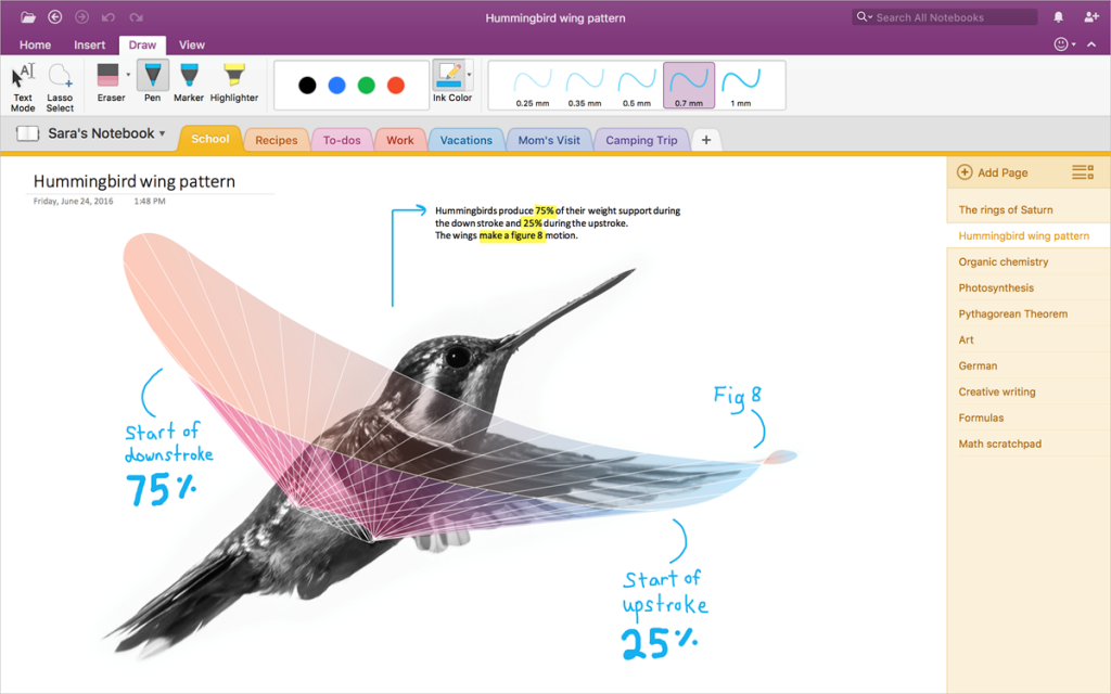 Now-Mac-users-can-make-the-move-from-Evernote-to-OneNote-01