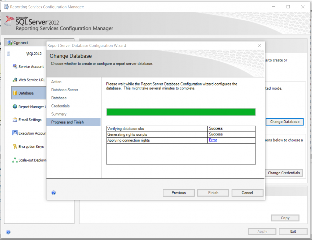 SSRS Applying Connection Rights