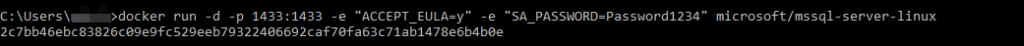 sqldockerrun