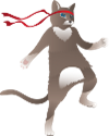 Windows_Insiders_Ninjacat-100