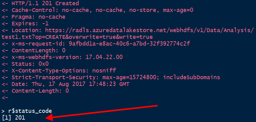 Inspect console output, including HTTP status code, after running 5-UploadFile.R in R Studio