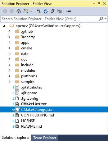 CMake Settings JSON