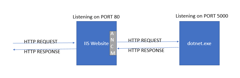 asp.net core module under the hood