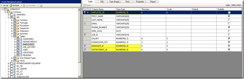 SSMA_EMPLOYEESchema