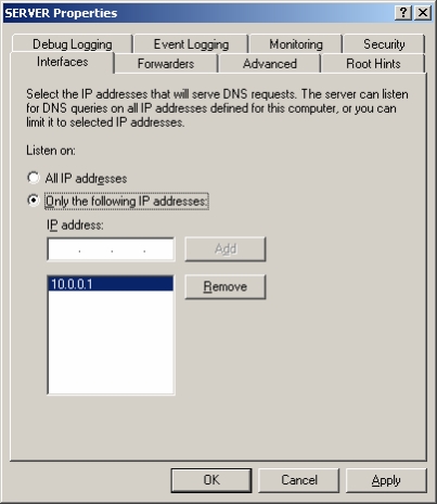 VPC DNS Server Interface Properties