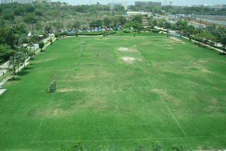 Cricket Ground