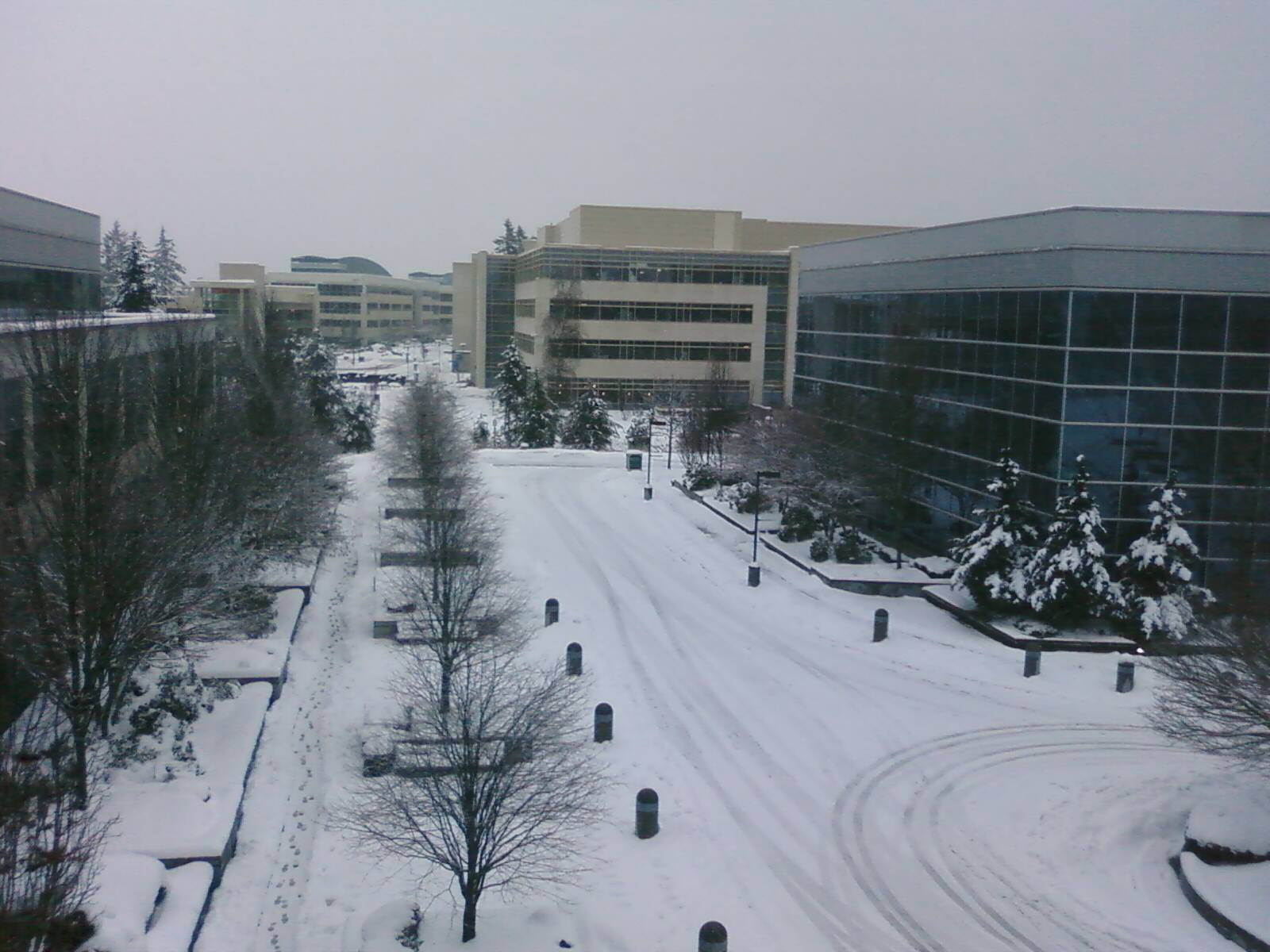 Snow at microsoft