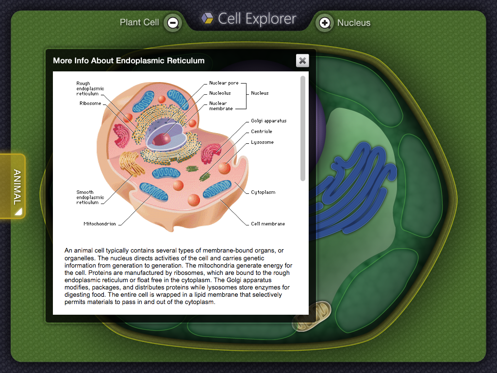 Cell Explorer 3