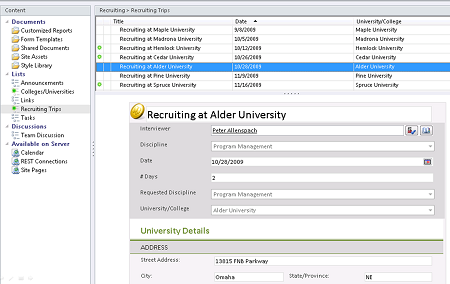 SharePoint WorkSpace - Offline Form