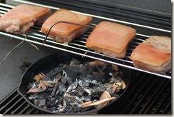 The Poor-Man's Smoker. Yes, that's just a cast iron pan with wood in it.