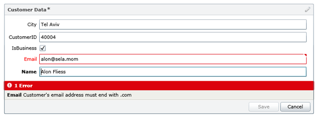 .Net RIA Services: Custom Validation