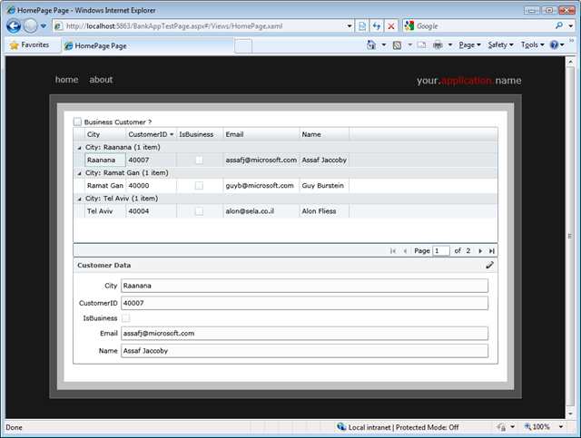 .Net RIA Services DataForm Validation