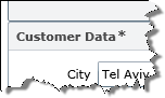 .Net RIA Services DataForm Validation