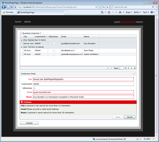 .Net RIA Services DataForm Validation