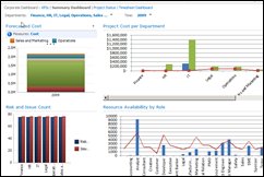 Microsoft Project 2010 Dashboard