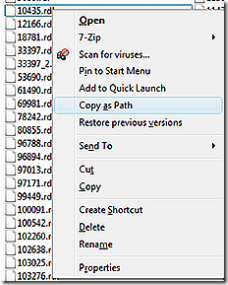 2007-08-01 Copy as Path