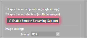 smoothStreamingSupport