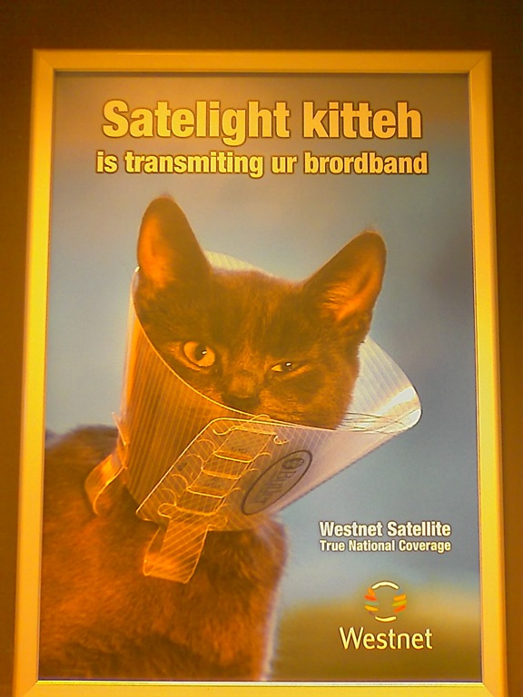 WESTNET LOLCAT