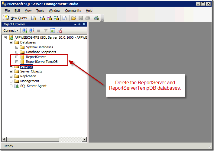 Delete RS dabases using SSMS