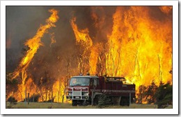 victorian-bushfires