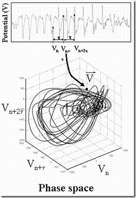 Michel Le Van Quyen phase space