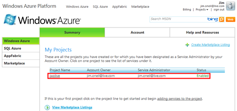 Azure Developer Portal