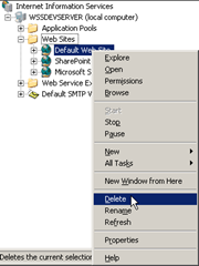 Delete Default Web Site