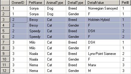 Simple Query, yields multiple records be pet