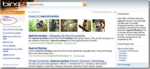 Bing Squirrel monkey