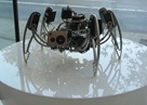 IC Hexapod