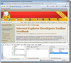 IE Developer Toolbar