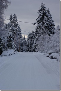 2008-12 snowy street