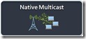 multicast