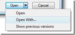 File Open File dialog open with option