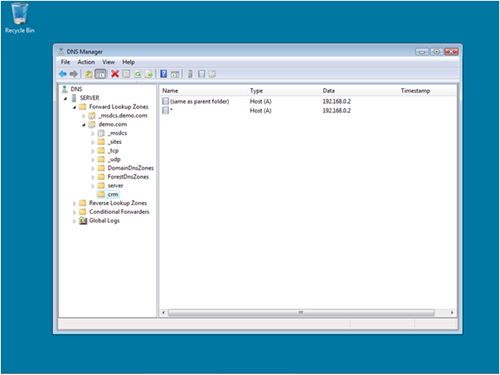 DNS Manager Configuration