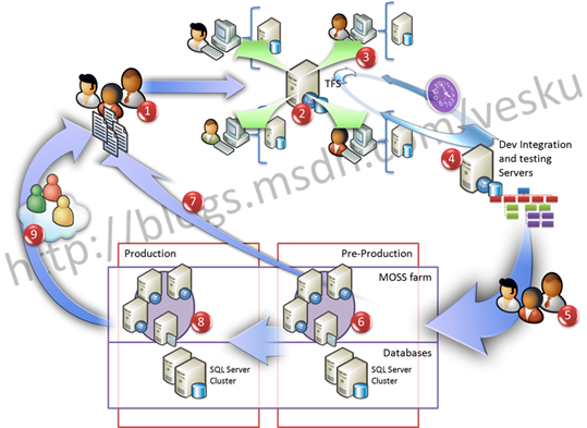 Development process