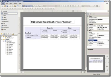 Report builder 2008