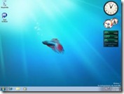 windows7betta