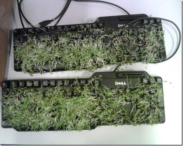 KeyboardGreenery