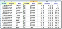 Excel Worksheet