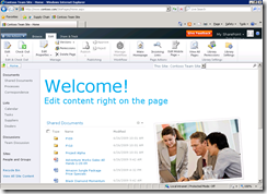 SharePoint 2010 Ribbon