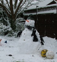 Mr Snowman Back Garden