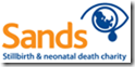 sands_logo_large