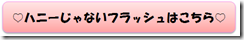 ハニーじゃないフラッシュはこちら