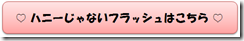 ハニーじゃないフラッシュはこちら