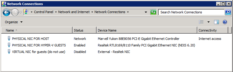 fig1 - Summary of NICs in parent